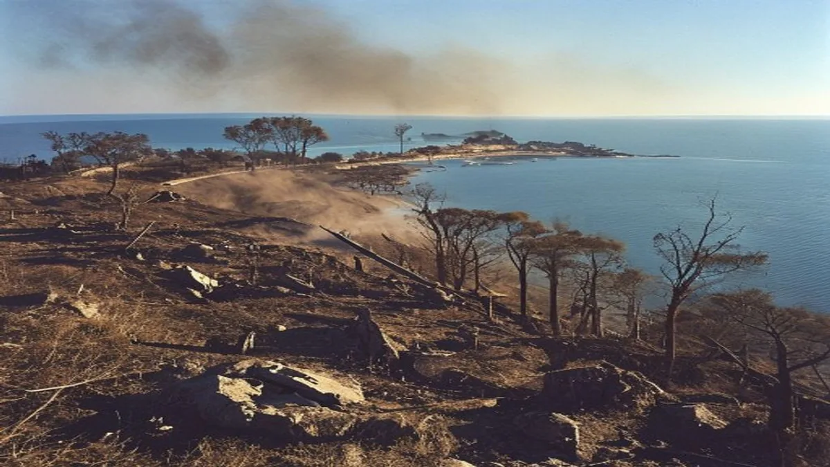 Spain Wildfires Claim 13 Lives in Almeria Including Seven British Nationals
