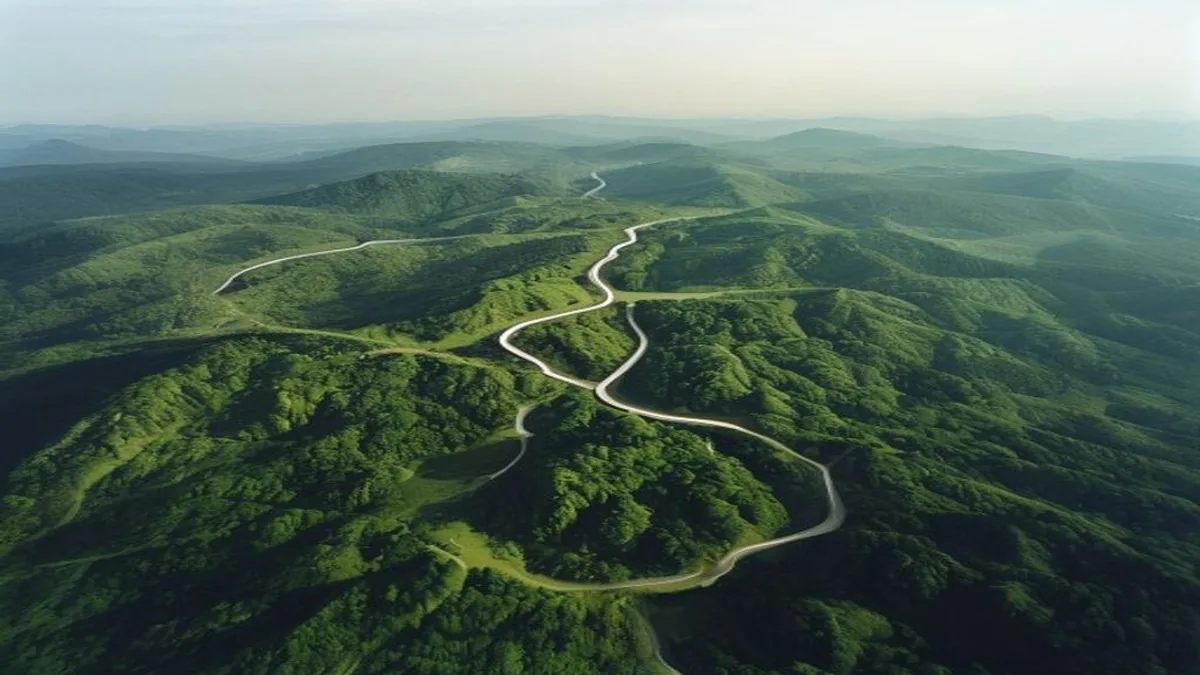 Arunachal Probe Launched Into Alleged Chinese Road Construction